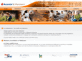 accentivepartners.com