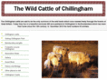 chillinghamwildcattle.com