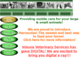 volusiavetservices.com