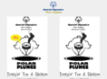 wvpolarplunge.com