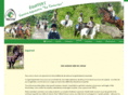 equivert.com