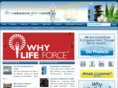 thebalanceyouneed.com