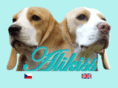 alikiss.com