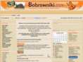 bobrowniki.com