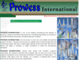 prowessusa.com