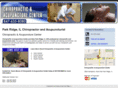 chiropractorniles.com