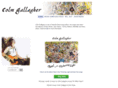 colmgallaghermusic.com