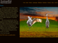 2hunsstudios.com