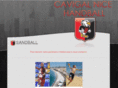 cavigal-nice-handball.com