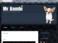 mrbambi.com