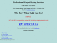 professionalcarpetdyeingservices.com