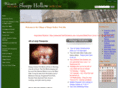 villageofsleepyhollow.org