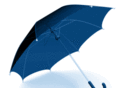 bppreview.com
