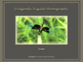 dragonflydigitalphotography.com