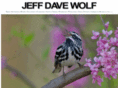 jeffdavewolf.com