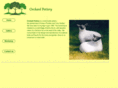 orchardpottery.com