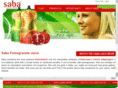 sabajuice.com
