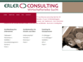erler-consulting.com