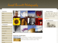 josephburnett.com