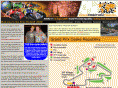brnograndprix.com