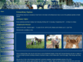 extraordinaryequines.com