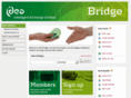 idea-bridge.com