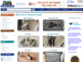 caninecover.com