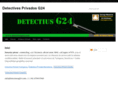 detectiusg24.com