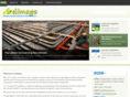 dimagong.com