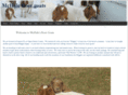 mchaleboergoats.com