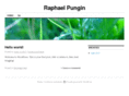 raphaelpungin.com