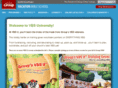 groupvbsu.com