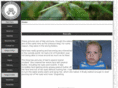 havenofwhimsy.com