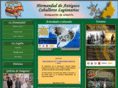 hermandadlegionariosalmeria.com