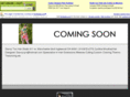 savvytoo.com