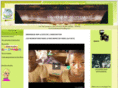 bamod.org