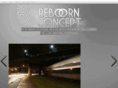 rebornconcept.com