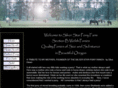 silverstarwelsh.com