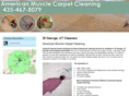 americanmusclecarpetcleaning.com