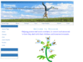 blossomandyou.com