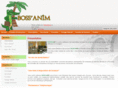 bossanim.com