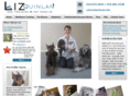 lizquinlan.com