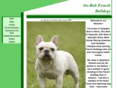 sto-robfrenchbulldogs.com
