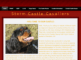 stormcastlecavaliers.com