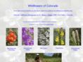 wildflowersofcolorado.com