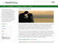 cozumelwedding.org