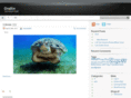 oraxin.com