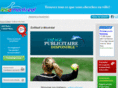softballamontreal.com