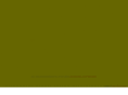 wordsinahurry.com