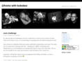 bobobex.com